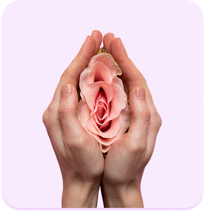 garantía de calidad